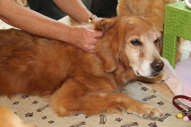 ファイル 1251-1.jpg