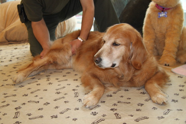 ファイル 1251-4.jpg