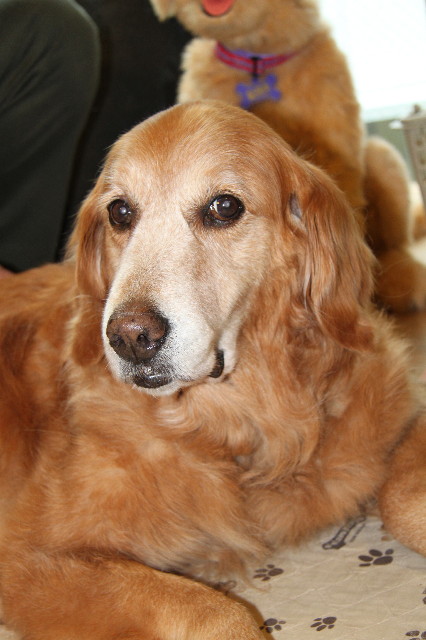 ファイル 1251-5.jpg