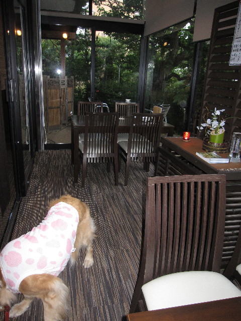 ファイル 1252-3.jpg