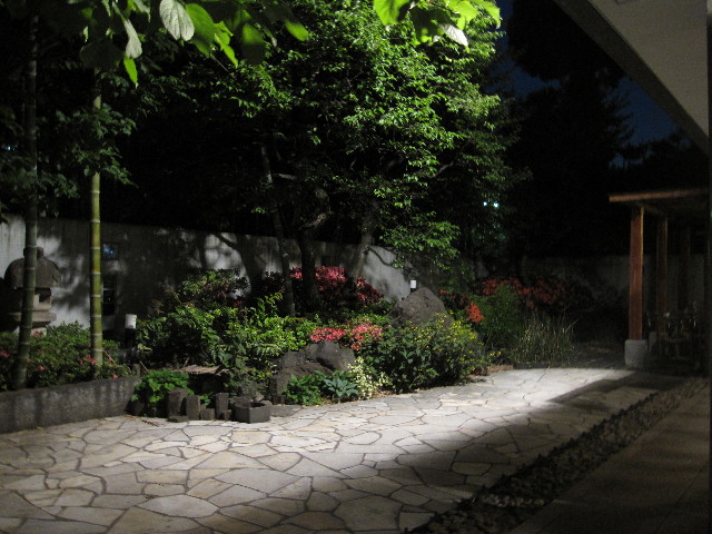 ファイル 1252-5.jpg