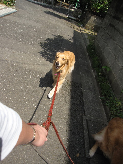 ファイル 1253-4.jpg