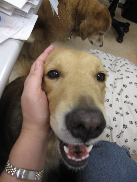 ファイル 1253-5.jpg