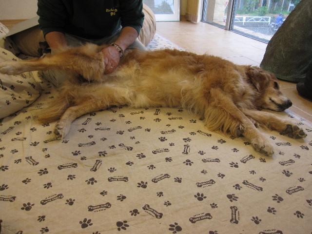 ファイル 1254-1.jpg