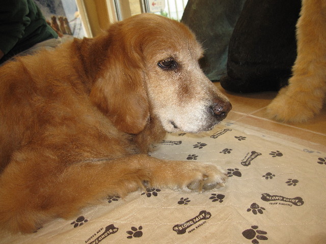 ファイル 1254-2.jpg