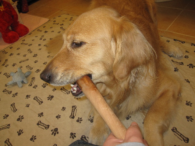 ファイル 1254-3.jpg