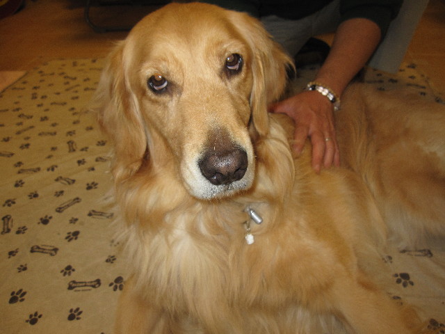 ファイル 1254-5.jpg