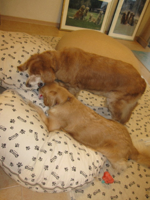 ファイル 1255-3.jpg