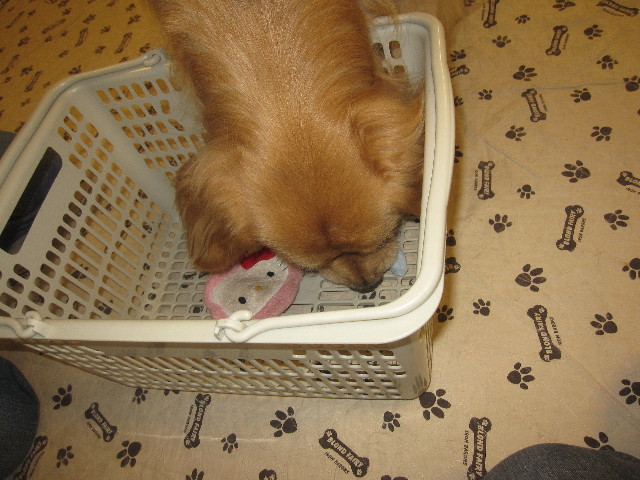 ファイル 1255-4.jpg