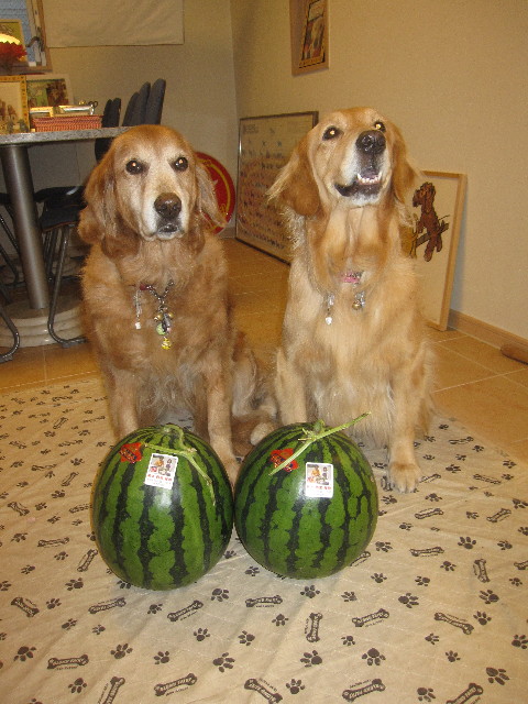 ファイル 1255-5.jpg