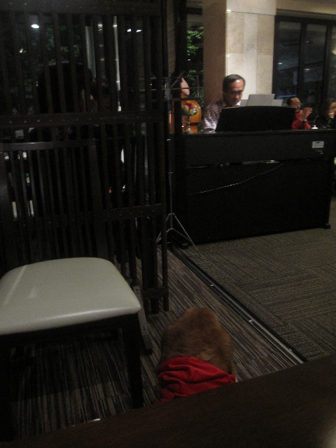 ファイル 1265-2.jpg