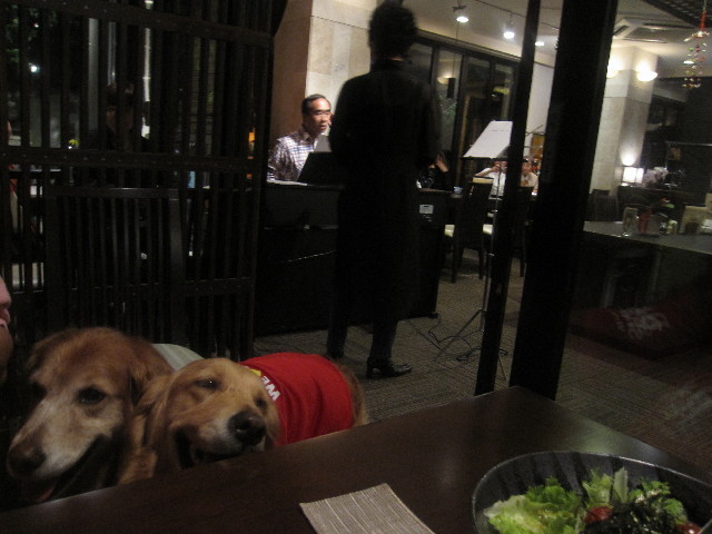 ファイル 1265-5.jpg