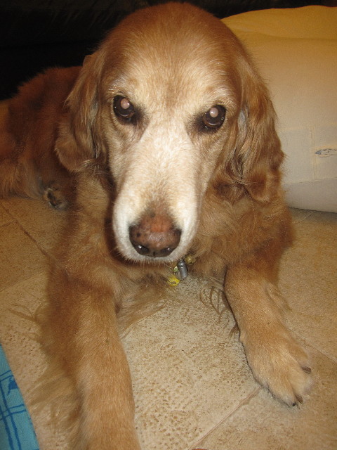 ファイル 1266-1.jpg