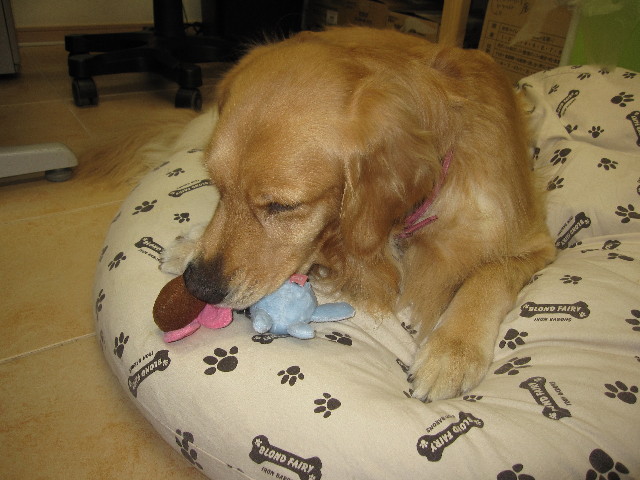 ファイル 1266-5.jpg