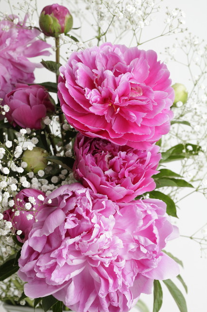 ファイル 1268-1.jpg