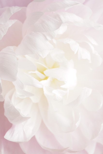 ファイル 1268-2.jpg