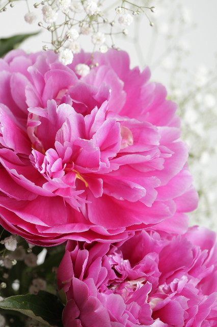 ファイル 1268-3.jpg