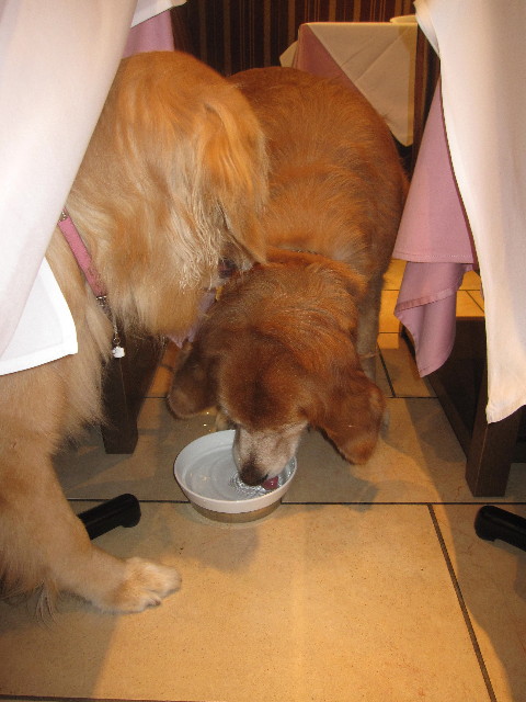 ファイル 1270-3.jpg