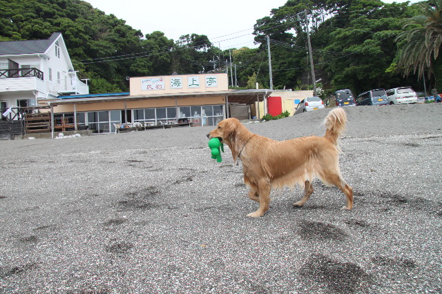 ファイル 1271-1.jpg