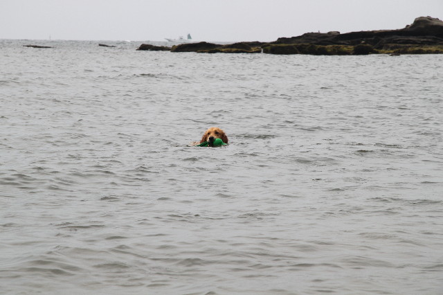 ファイル 1272-1.jpg