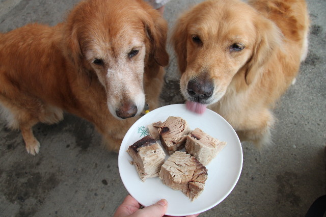 ファイル 1272-4.jpg