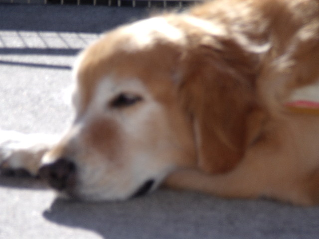 ファイル 1273-4.jpg