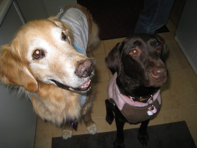 ファイル 1273-5.jpg