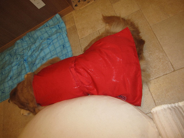 ファイル 1276-3.jpg