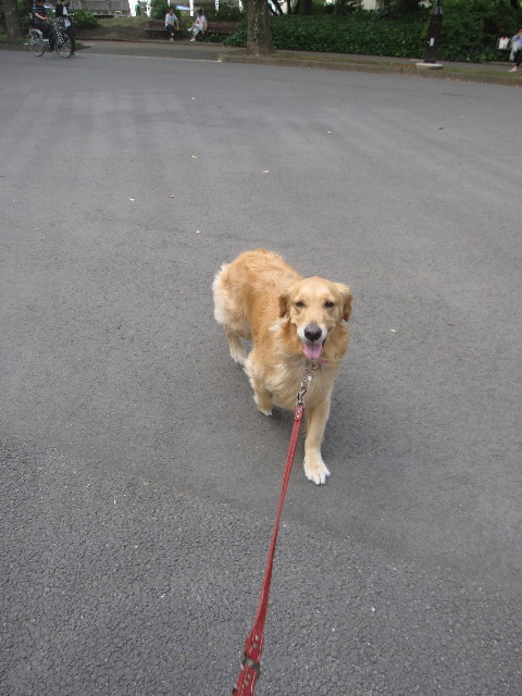 ファイル 1277-2.jpg