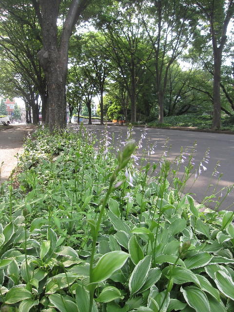 ファイル 1277-3.jpg