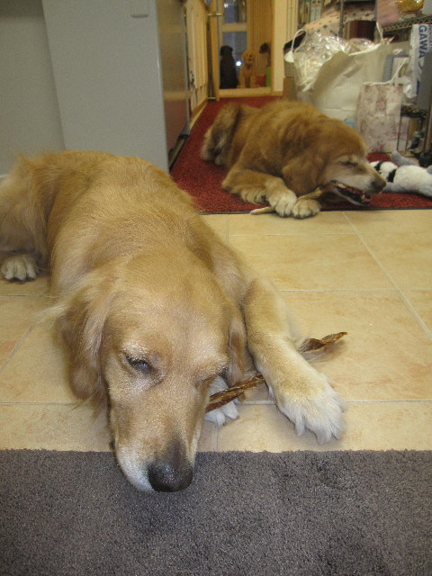 ファイル 1277-4.jpg