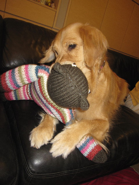 ファイル 1277-5.jpg