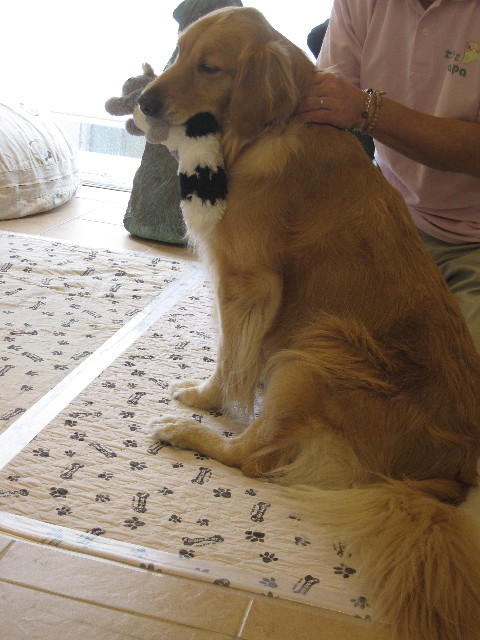 ファイル 1278-2.jpg