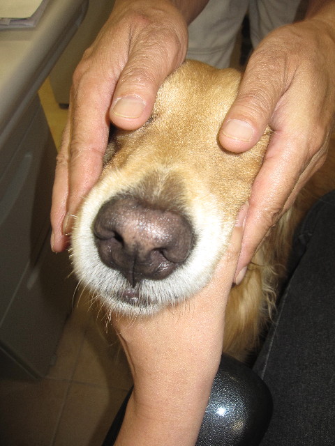 ファイル 1278-4.jpg