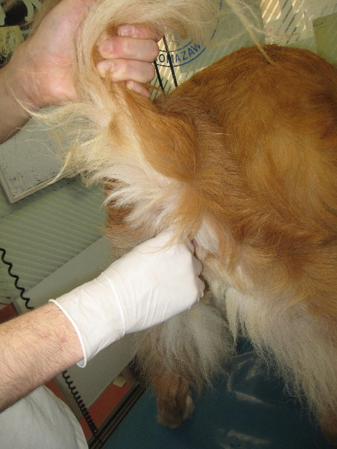 ファイル 1279-2.jpg