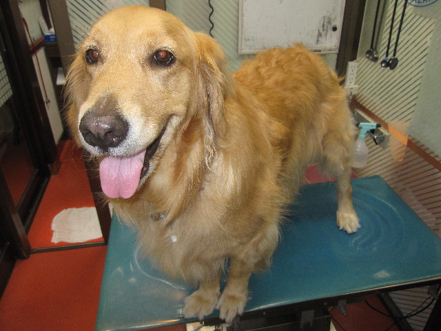 ファイル 1279-5.jpg