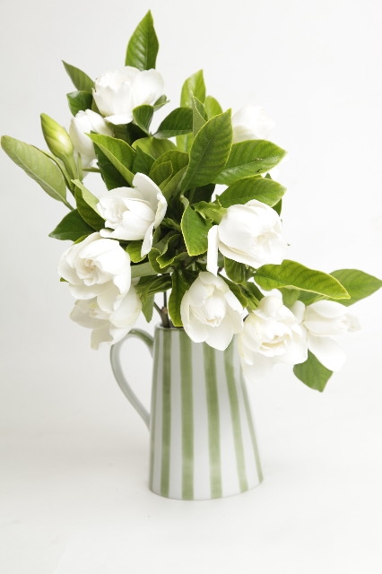 ファイル 1280-1.jpg