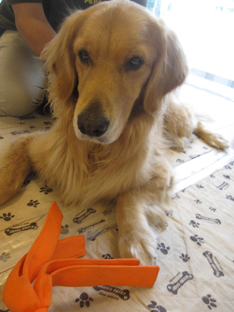 ファイル 1281-4.jpg