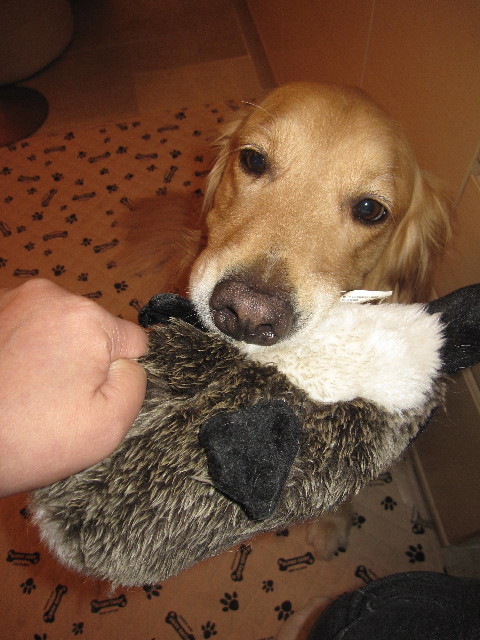 ファイル 1281-5.jpg