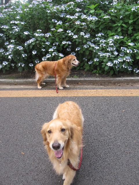 ファイル 1282-1.jpg