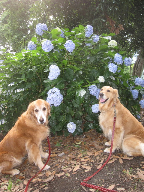 ファイル 1282-2.jpg