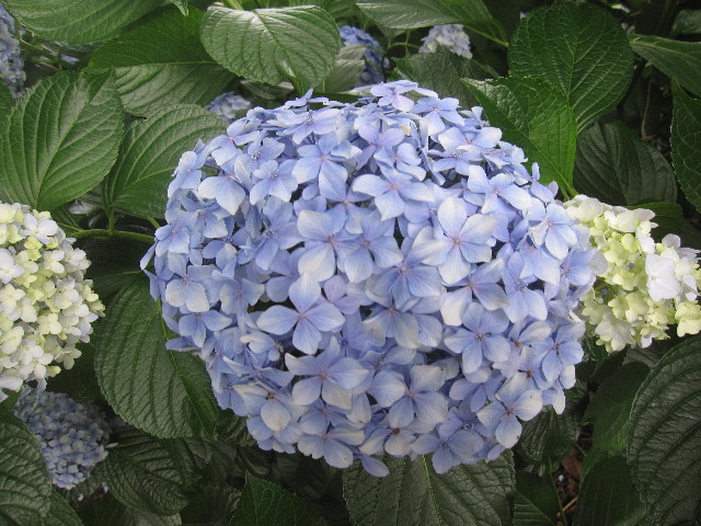 ファイル 1282-4.jpg