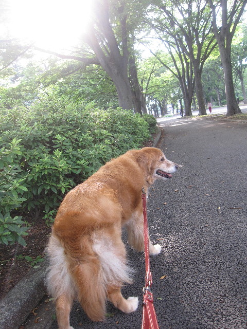 ファイル 1282-5.jpg