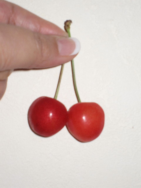 ファイル 1284-1.jpg