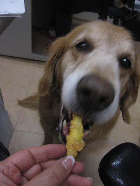 ファイル 1285-2.jpg