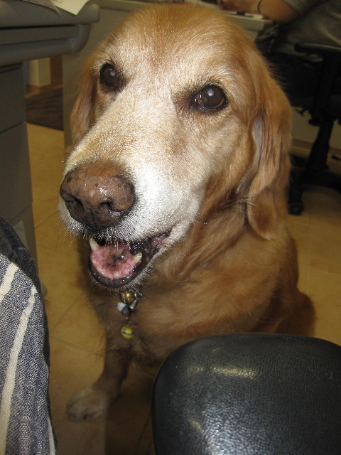 ファイル 1285-3.jpg