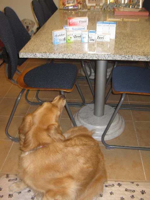 ファイル 1285-5.jpg