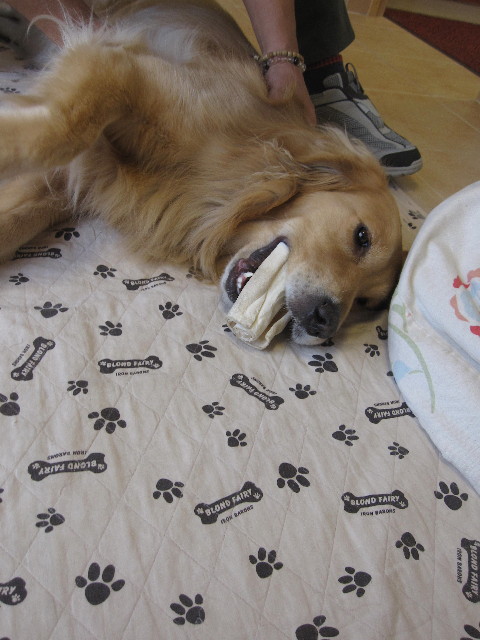 ファイル 1286-3.jpg