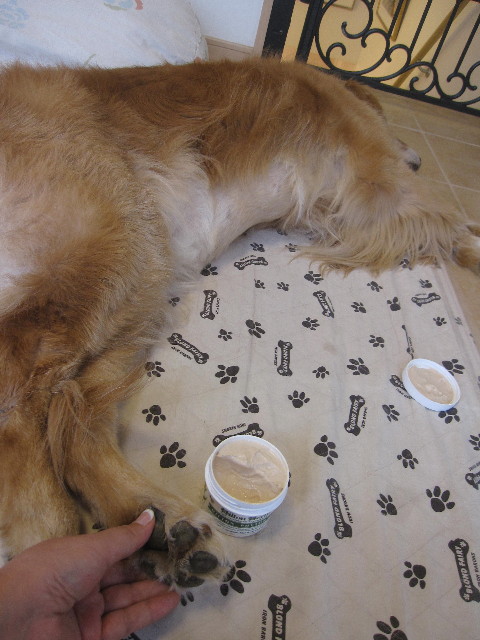 ファイル 1286-4.jpg