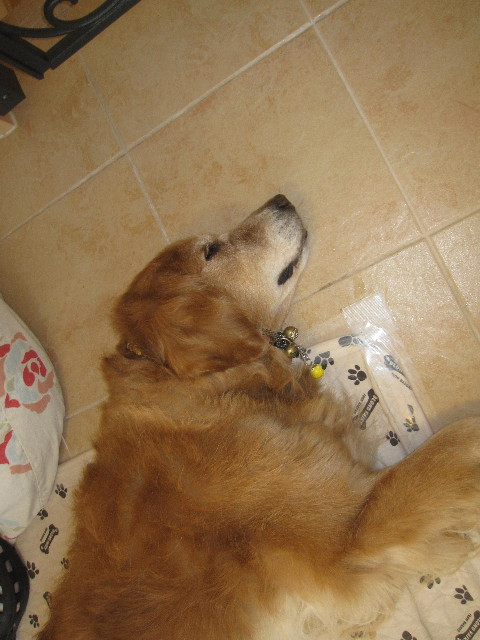 ファイル 1286-5.jpg